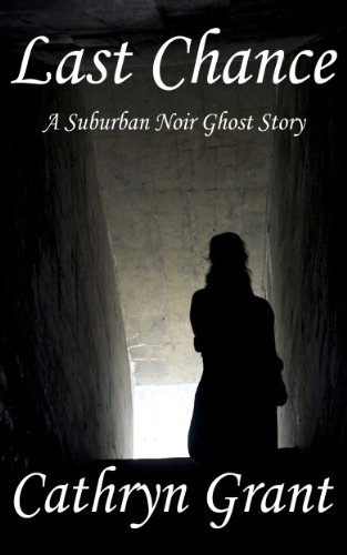 Last Chance book cover