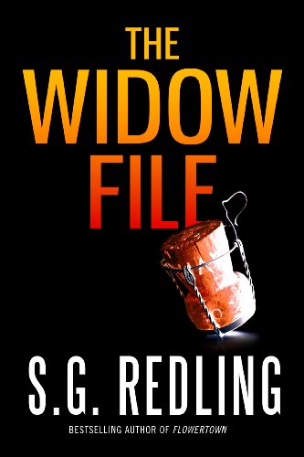 The Widow File book cover
