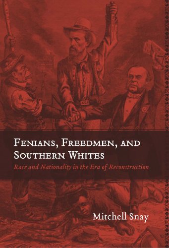 Fenians, Freedmen, and Southern Whites book cover