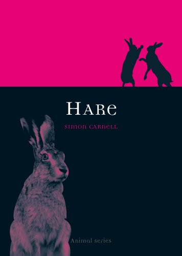 Hare (By: Simon Carnell) cover
