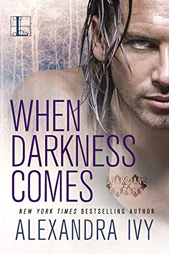 When Darkness Comes (By: Alexandra Ivy) cover