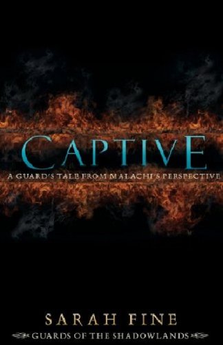 Captive: A Guard's Tale from Malachi's Perspective book cover