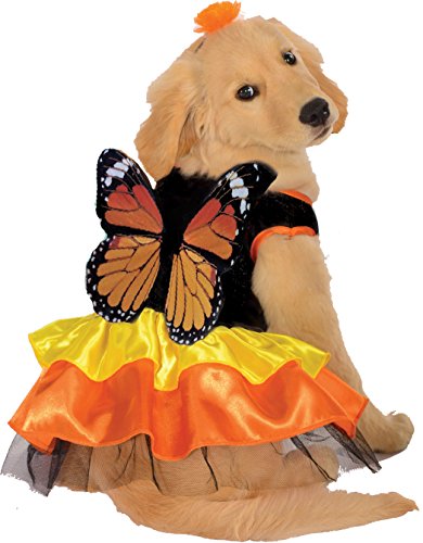 Rubies Monarch Butterfly Pet Costume for Dogs or Cats, XL