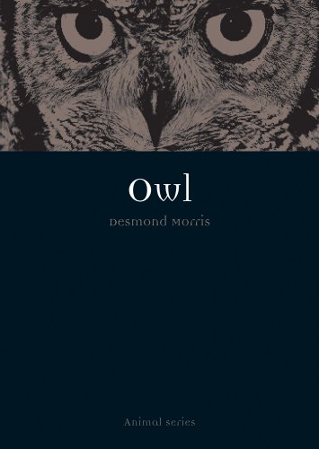 Owl (By: Desmond Morris) cover