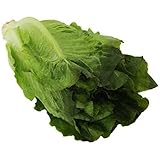 Lettuce product
