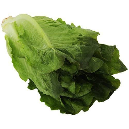 Romaine Lettuce, 1 Each