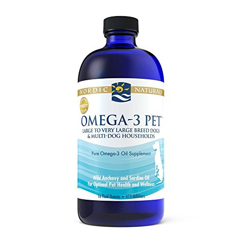 Best Fish Oil Supplements for Cats with Dry Skin in 2026