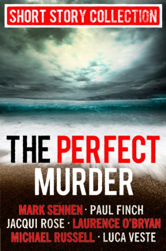 The Perfect Murder book cover