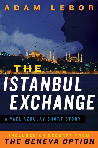 The Istanbul Exchange book cover