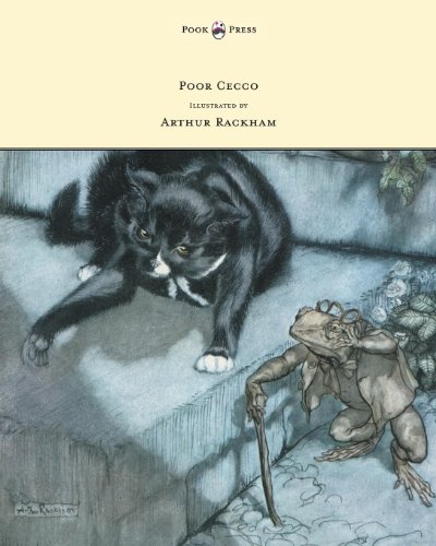 Poor Cecco book cover