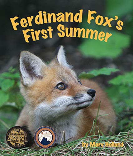 Ferdinand Fox's First Summer book cover