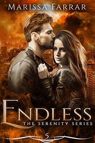 Endless book cover