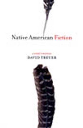 Native American Fiction: A User's Manual book cover