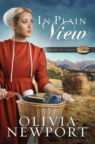 In Plain View book cover