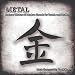Song Metal by Yuval Ron on Metal at Amazon