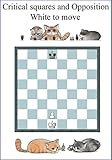 Opposition Critical Squares The Most Important Chess Pattern Chess Patterns Book 4 English Edition