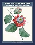 Pierre Joseph Redout Fruit And Flower Illustrations English Edition