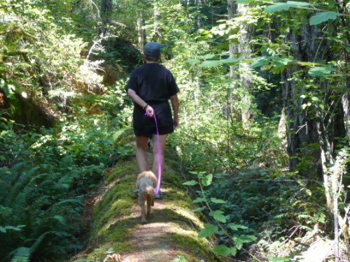 Vancouver or Bust/ No Crime cover