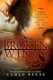 Broken Wings Hidden Wings Series Book Two