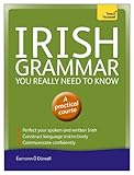 Irish Grammar You Really Need To Know Teach Yourself Teach Yourself Language Reference English Edition