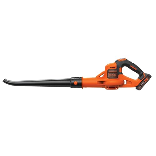 BLACK+DECKER LSW321 20V MAX Lithium Cordless Sweeper