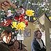 Song I Don t Mind by Sebadoh on The Secret EP at Amazon