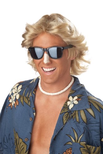 California Costumes mens 70's Feathered Hair Wig Adult Sized Costumes, Blonde, One Size US