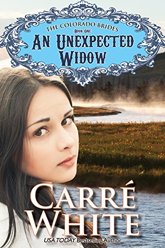 An Unexpected Widow cover