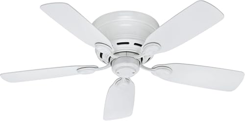 Hunter Low Profile IV 5-Blade Ceiling Fan