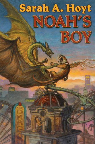 Noah's Boy book cover