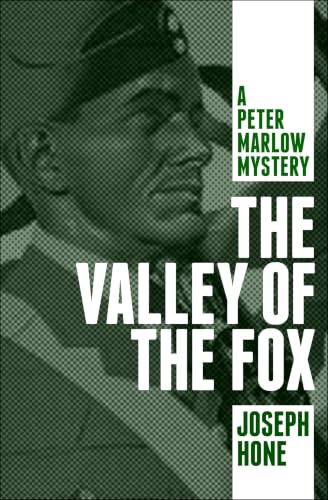 The Valley of the Fox book cover