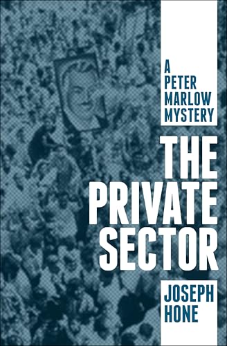 The Private Sector book cover