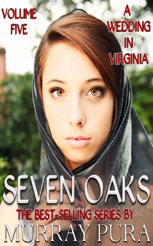 A Wedding in Virginia book cover
