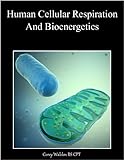 Human Cellular Respiration And Bioenergetics English Edition