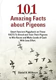 Pigeon Facts 101 Shocking Facts About Racing Pigeons Youve Never Heard Of English Edition