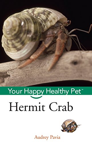 Hermit Crab (By: Audrey Pavia) cover