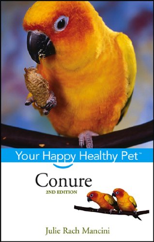 Conure (By: Julie Rach Mancini) cover