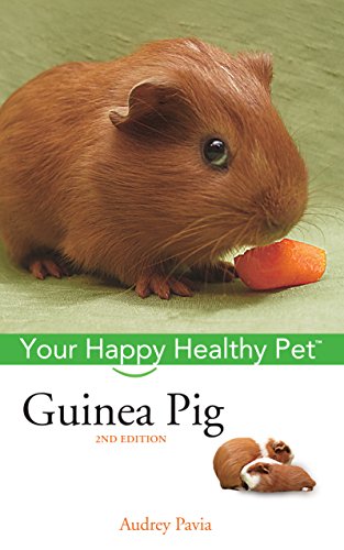 Guinea Pig (By: Audrey Pavia) cover