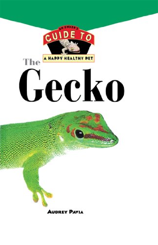 The Gecko (By: Audrey Pavia) cover