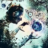 Tomorrow We Die Alive (2013)