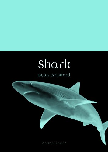 Shark book cover
