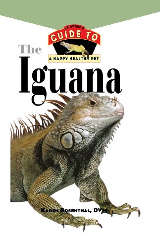 Iguana (By: Karen L. Rosenthal) cover