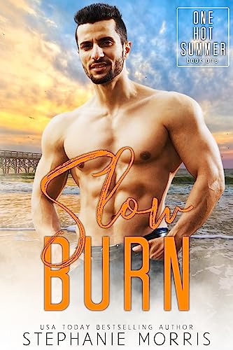 Slow Burn book cover