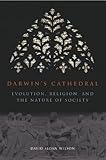 Darwins Cathedral Evolution Religion And The Nature Of Society English Edition