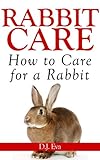 Rabbit Care How To Care For Rabbits English Edition