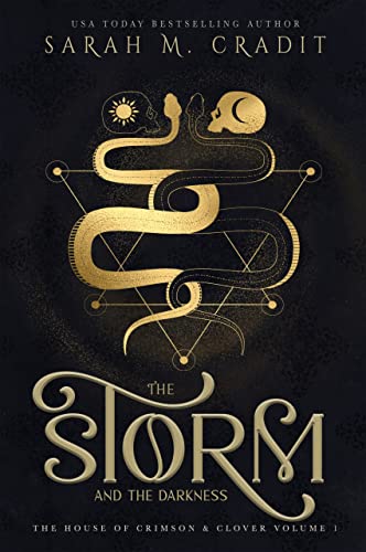 The Storm and the Darkness book cover