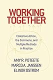 Working Together Collective Action The Commons And Multiple Methods In Practice English Edition