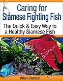 Caring For Siamese Fighting Fish Betta Splendens English Edition