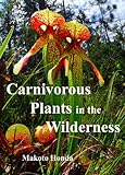 Carnivorous Plants In The Wilderness