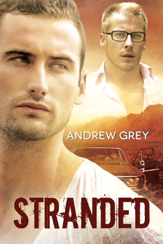 Stranded book cover
